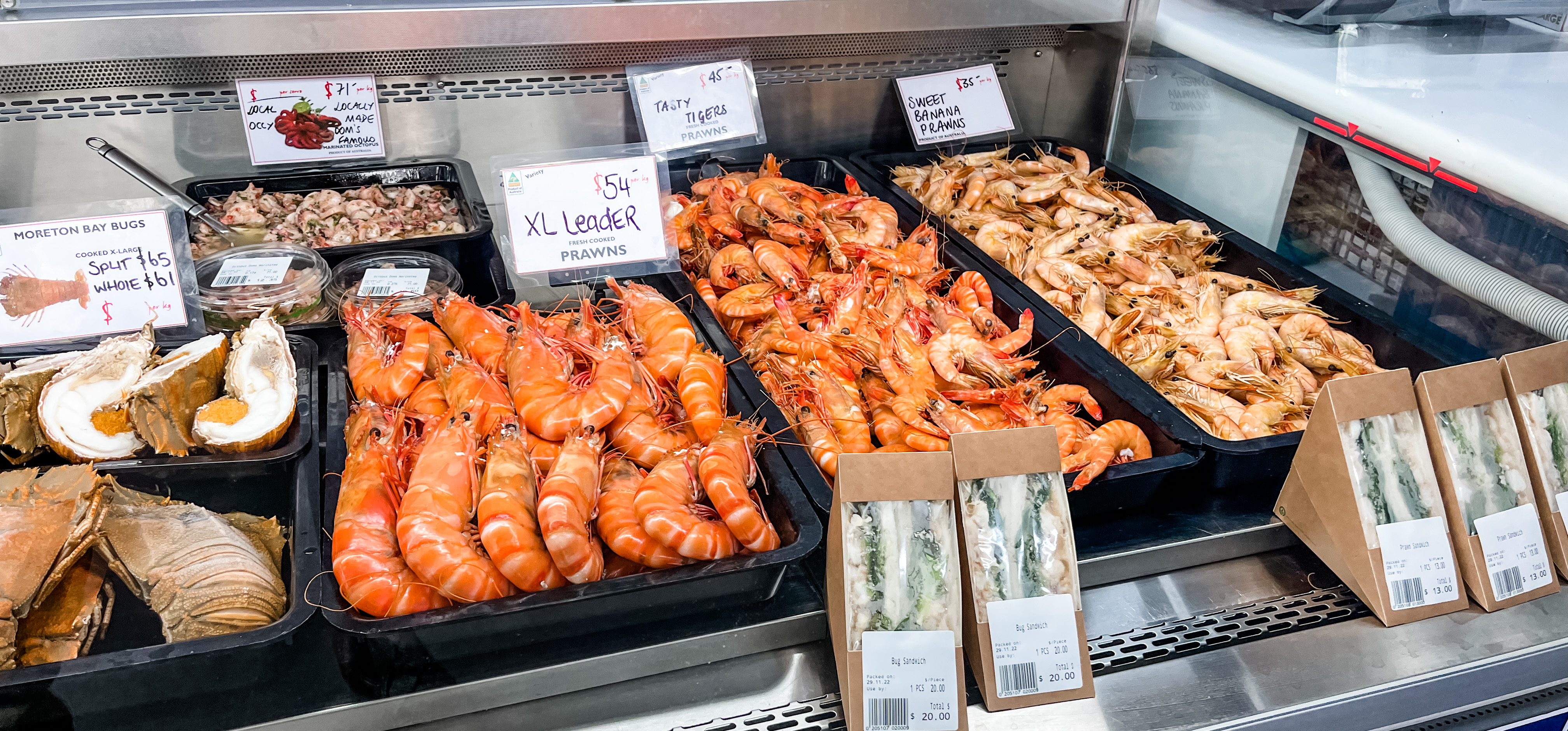 Wild Local–Seafood–Cafe–Pantry - Logo