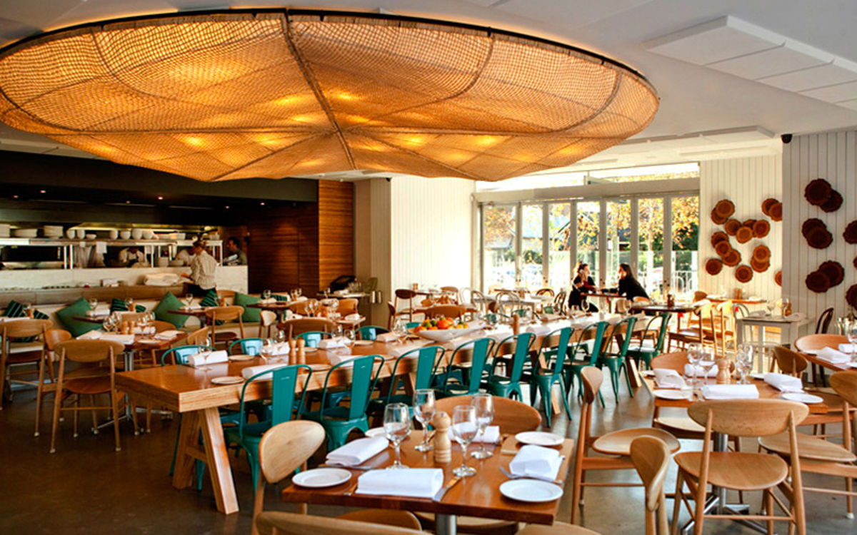 Wild Sage - Cammeray - Logo