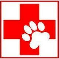 Willowdale Animal Hospital - Logo