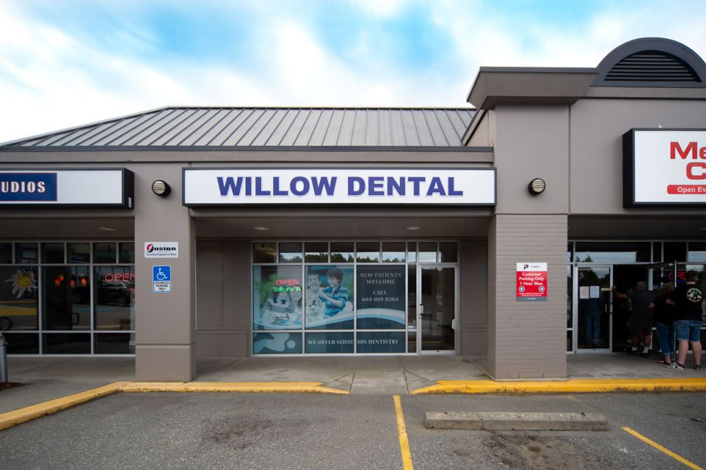 Willow Dental Care Abbotsford - Logo