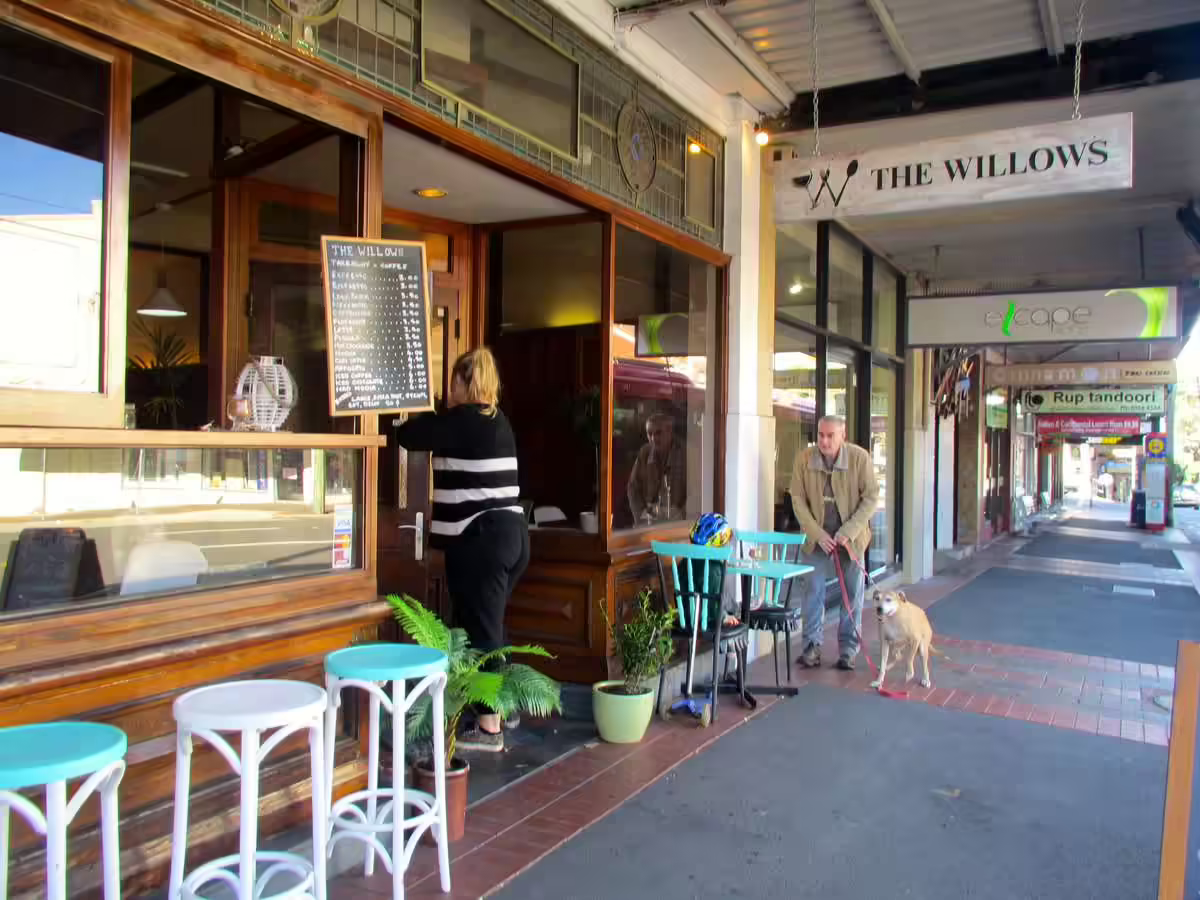 Willows - Logo