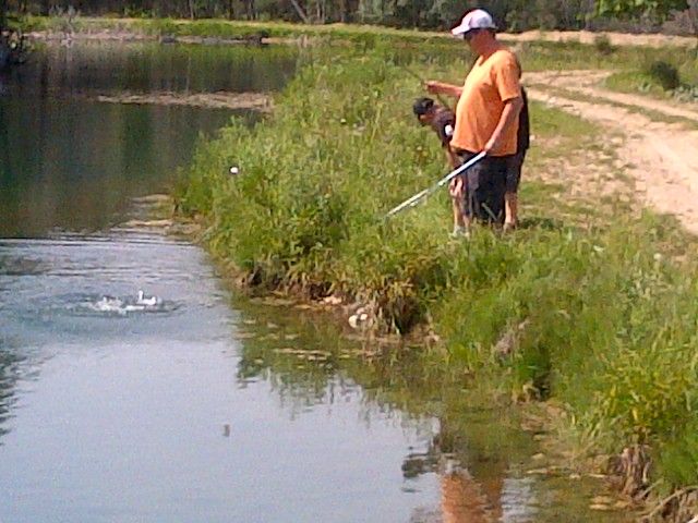 Wilmer Trout Ponds - Cover photo