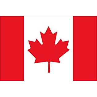 Wilson International Network Immigration Corp - Logo