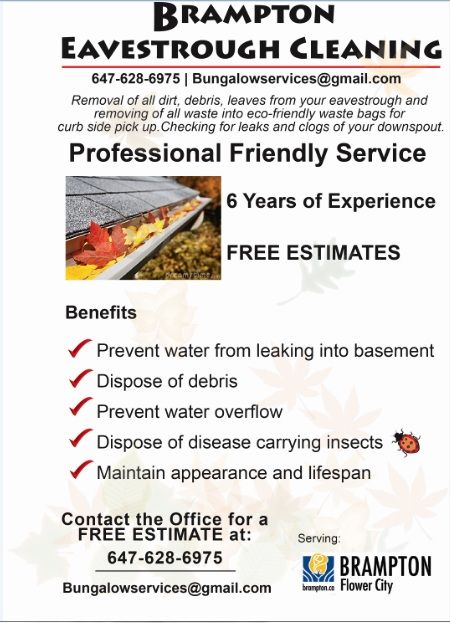 Window Cleaning Mississauga - Logo