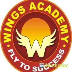 Wings Academy - Logo