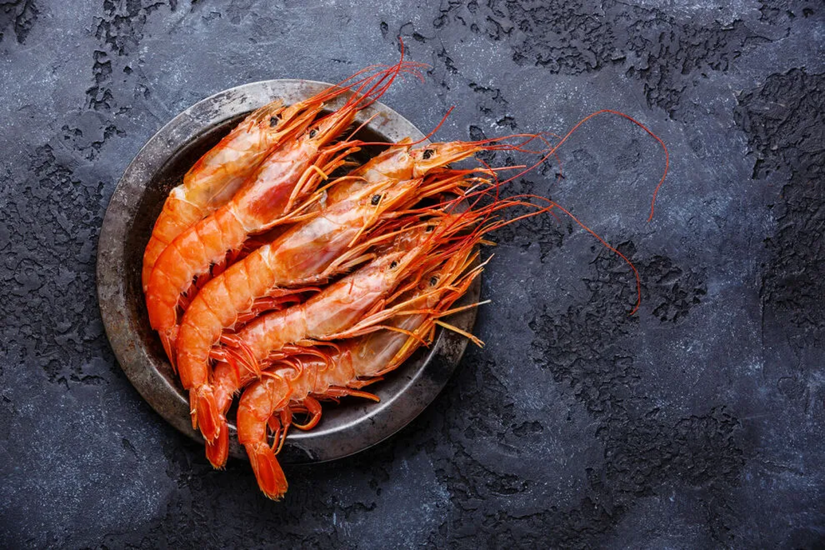 Wings and Fins - Seafood Restaurant, Bar & Bistro - Logo