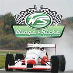 Wings and Slicks - Logo