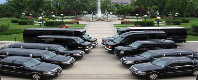 Winnipeg Limousine Service - Logo