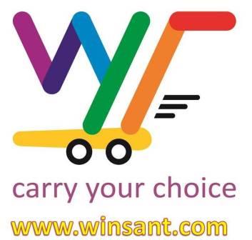 Winsant Store - Logo