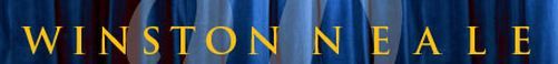 Winston Neale Financial Services - Logo