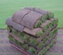 Wintermere Sod Growers - Logo