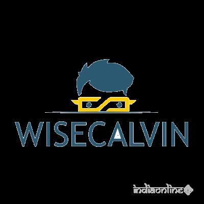 Wisecalvin 224793 - Cover photo