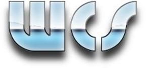 Wise Computer Solutions Inc. - Logo
