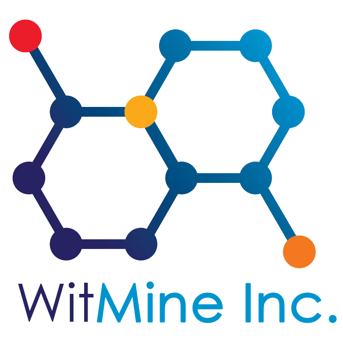 WitMine Inc. - Logo