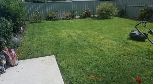 Wizard Cleaning (Tamworth) Pty Ltd - Cover photo