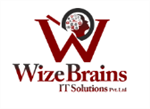Wizebrains It Solutions Pvt Ltd - Logo