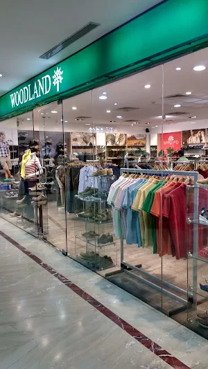 Woodland - Cover photo