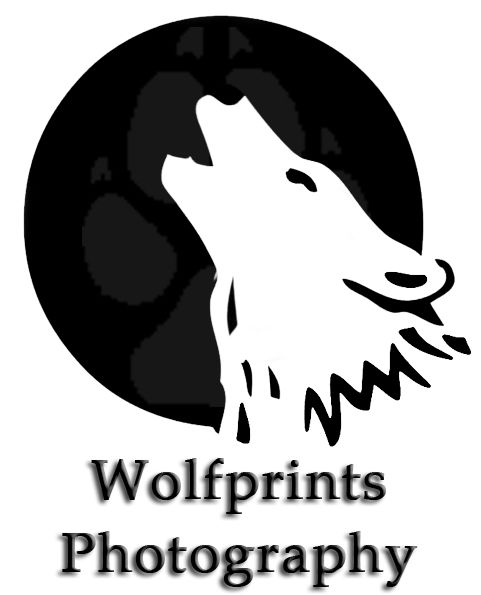 Wolfprints Photography - Logo
