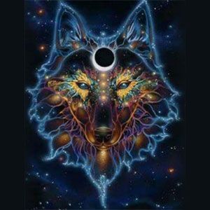 Wolf Shaman Healing - Cover photo