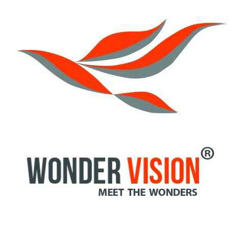 Wonder Vision - Cover photo