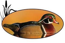 Wooden Duck Brokerage - Cover photo