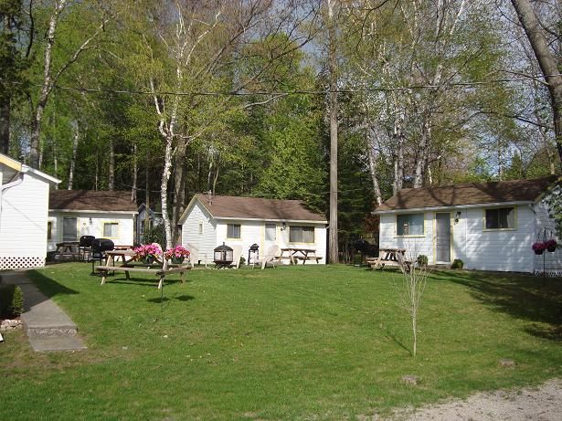 WOODLAND CEDARS FAMILY COTTAGE - Logo