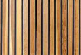 Woods India - Cover photo