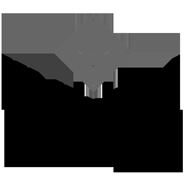 World Metal Finishing - Logo