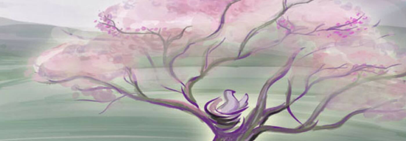 Woven Journey - Cover photo