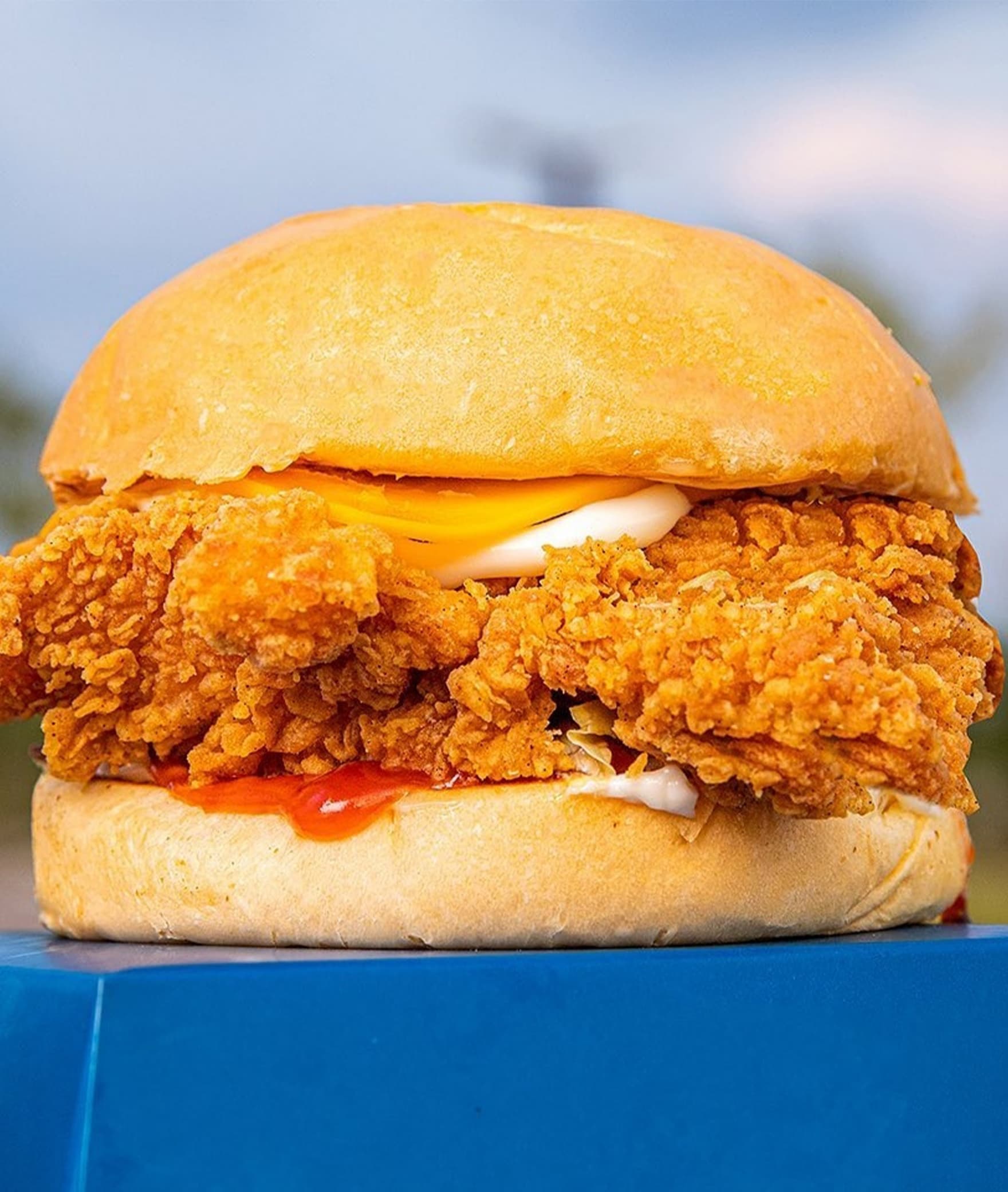WOW Burger & Wings - Logo