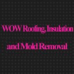 Wow Roofing, Insulation and Mold Removal - Logo