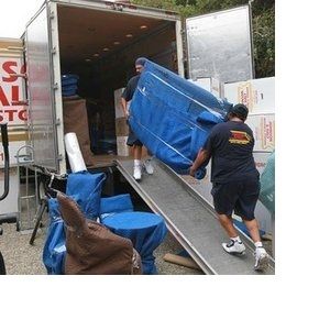 Xpert Movers - Logo