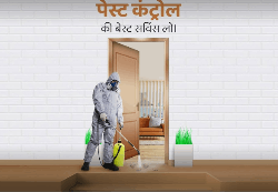 Xpress pest control service - Logo