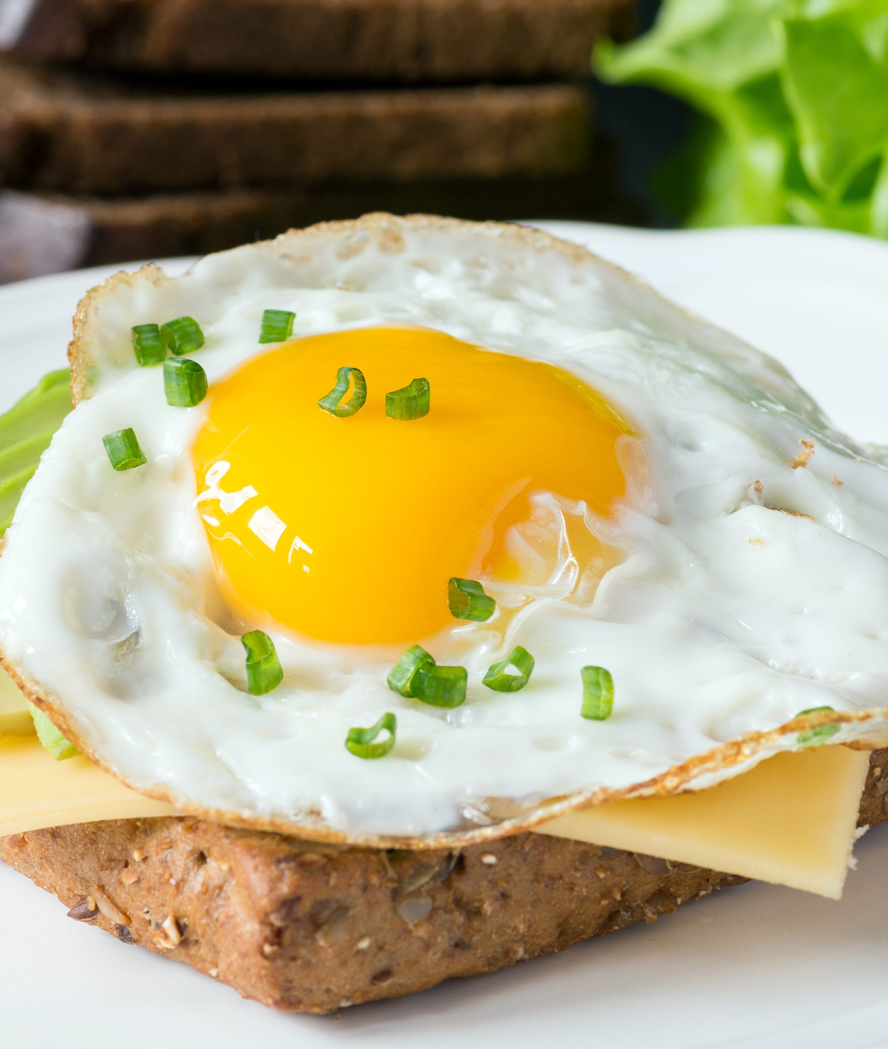 Yaadgar Omlet - Logo