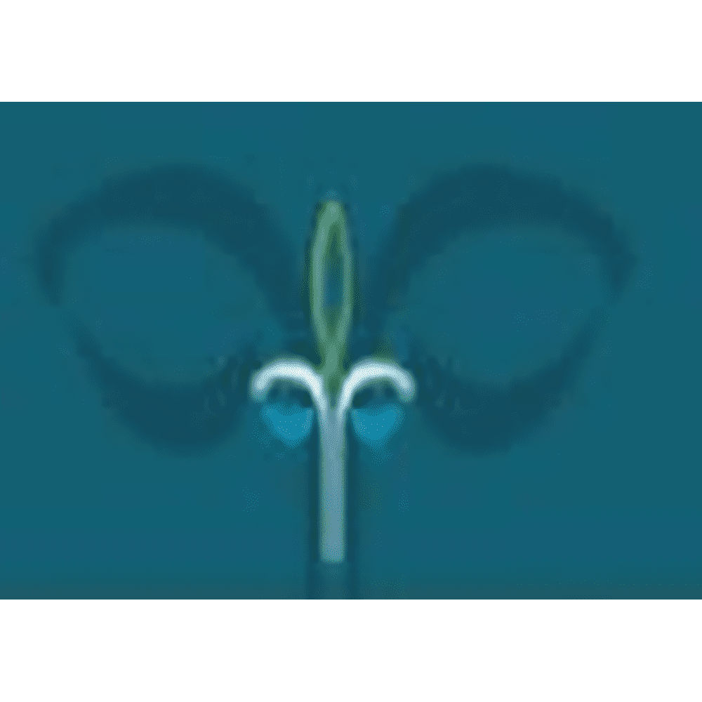 Yadavrao Tasgaonkar Institute of Management Studies and Research (YTIMSR) - Logo