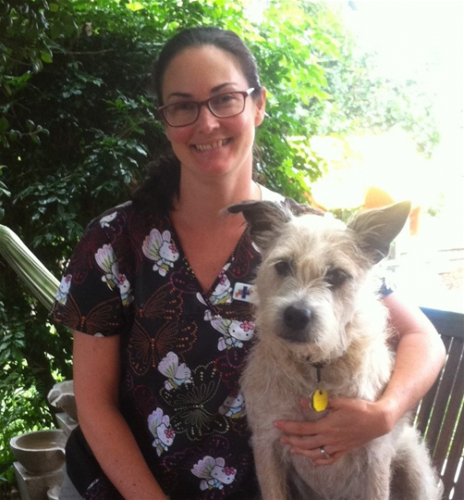 Yandina Vet Clinic - Logo