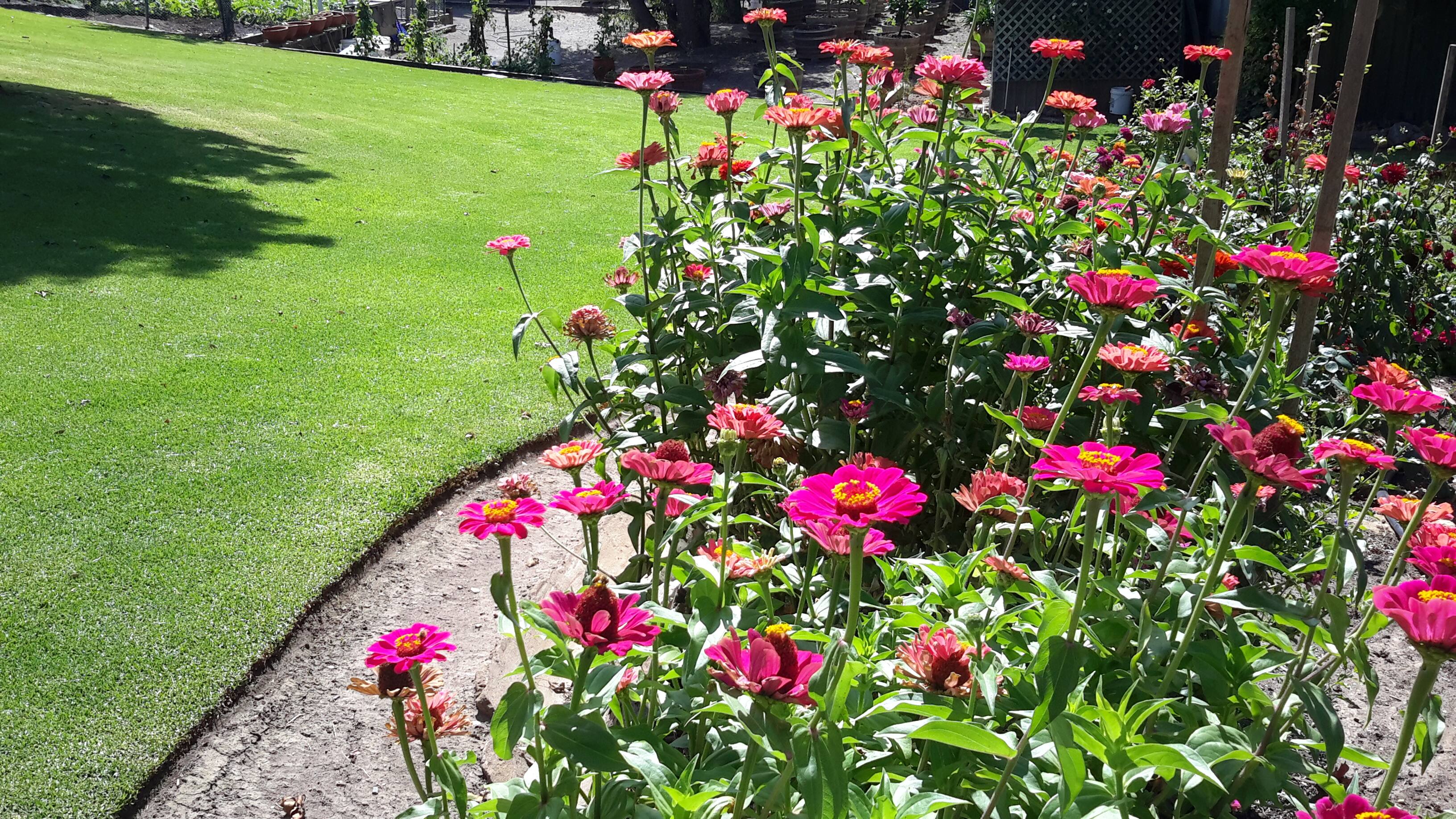 Yard Matters - Garden Maintenance - Cover photo