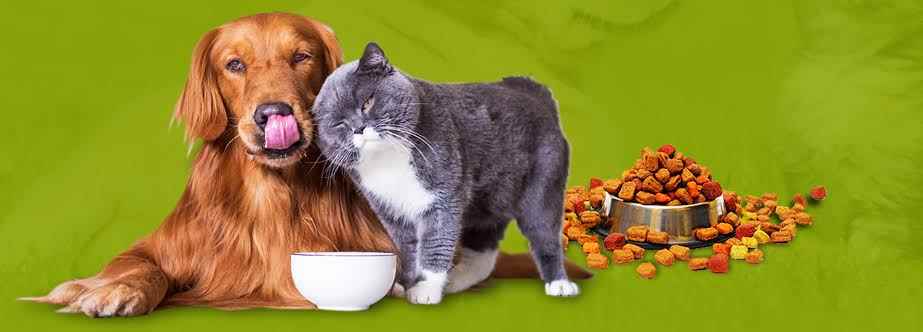 Yati S Pet Shop - Cover photo