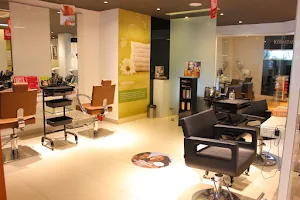 YLG Salon - Logo