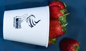 Yoghurt Studio - Logo
