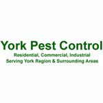 York Pest Control - Logo