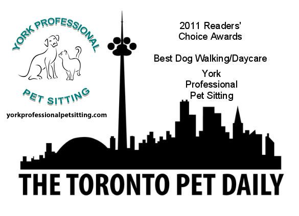 York Professional Pet Sitting - Cover photo
