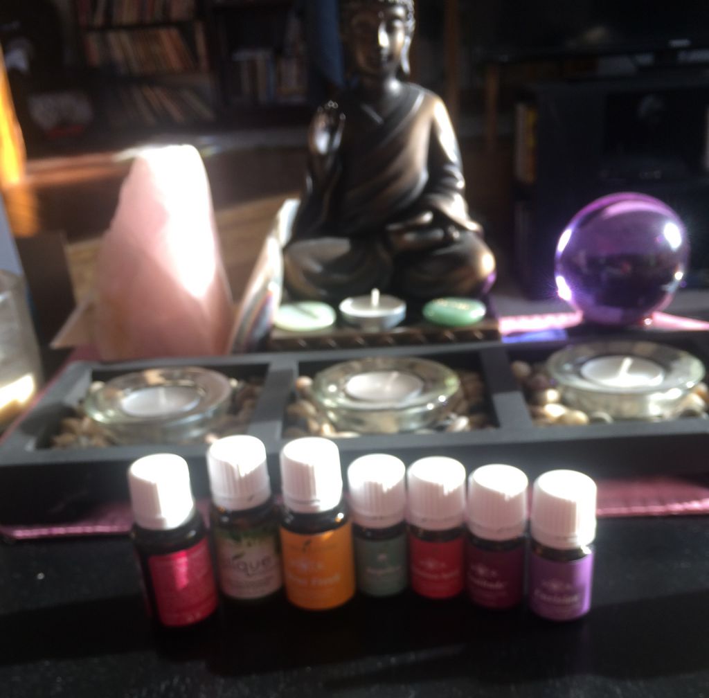 Young Living Independent Distributor Bev Kaun - Logo