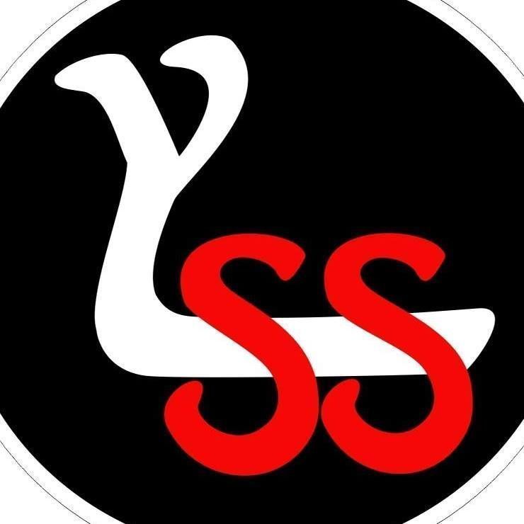 Young Lock & Safe Services - Logo