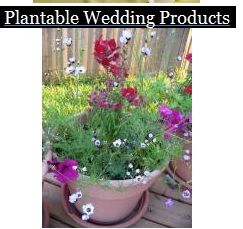 Your Best Wedding Supplies - Logo