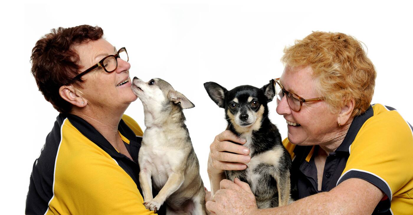 Your Critter Sitter - Cover photo