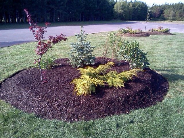 Your Landscape Solutions - Logo