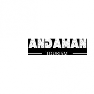 Your Loan Advisors - Logo
