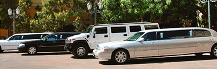 YOURNEXTLIMO.COM - Logo