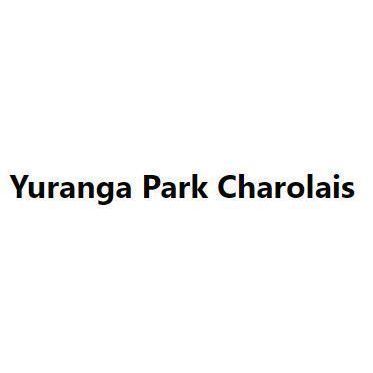 Yuranga Park Charolais - Logo